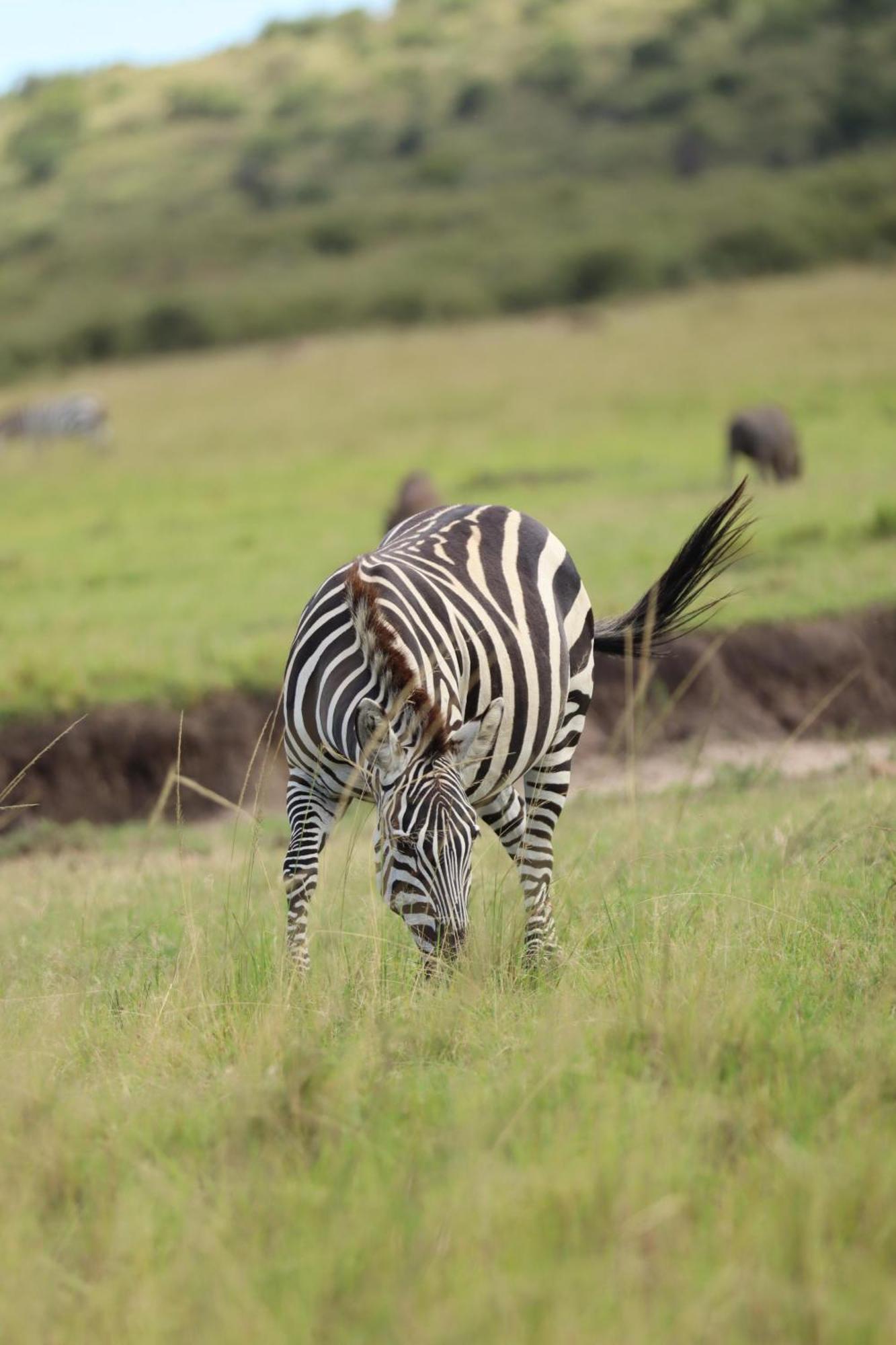 Ilkerin Camp Maasai Mara Bed and Breakfast Sekenani Buitenkant foto